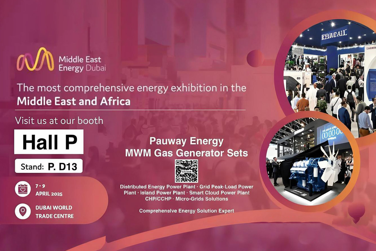 PauwayEnergymakesitsdebutatthe2025DubaiElectricityandEnergyExhibitionintheMiddleEast
